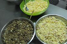 DSCF1488